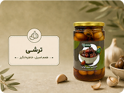 ترشی