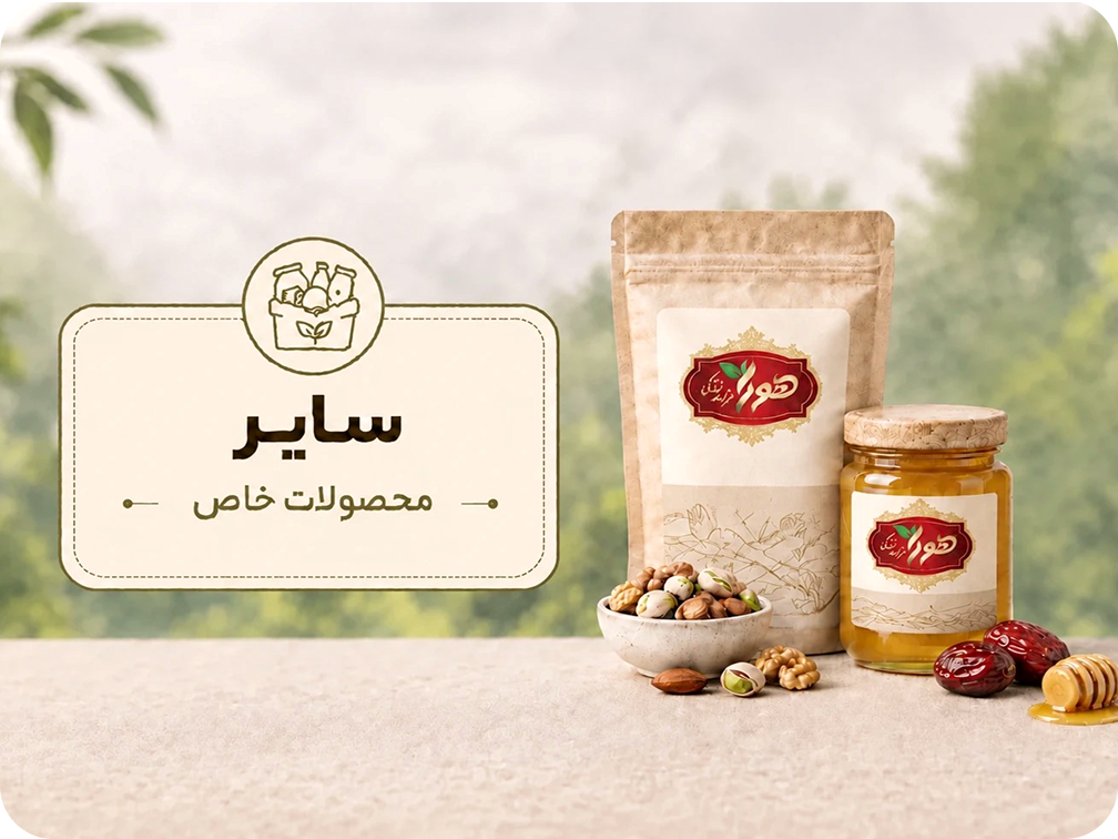 بدون دسته بندی
