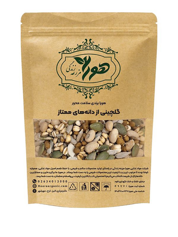 آجیل سلامت 500 گرم